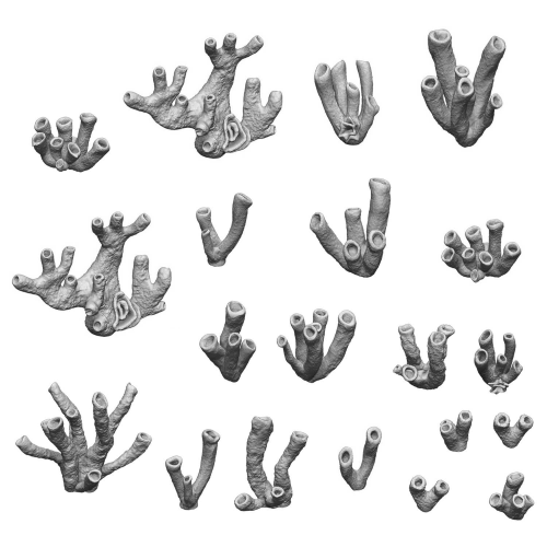GSW - Corals 1:48-1:35