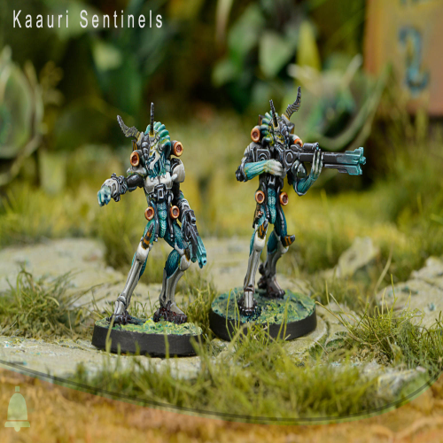Kaauri Sentinels with Combi Rifle and Boarding Shotgun