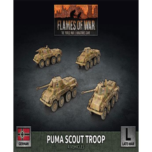 Puma Scout Troop