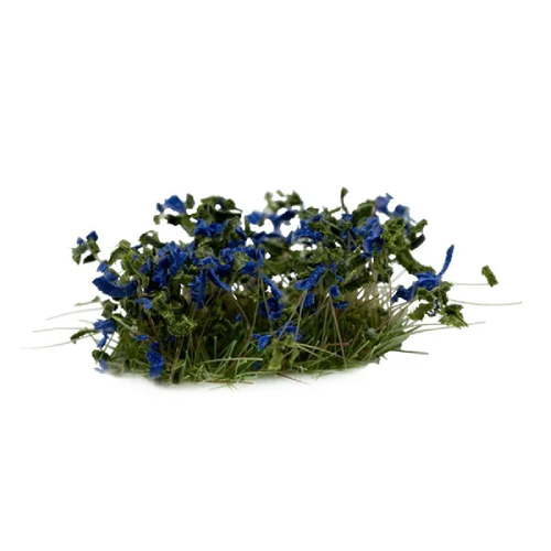 Gamers Grass - Blue Flowers (wild)