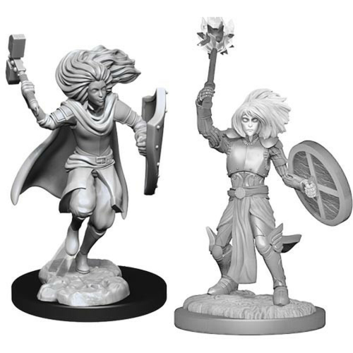 Nulzur's Marvelous Miniatures: Changeling Cleric Male Wave 14