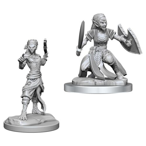 Nulzur's Marvelous Miniatures: Shifter Fighter