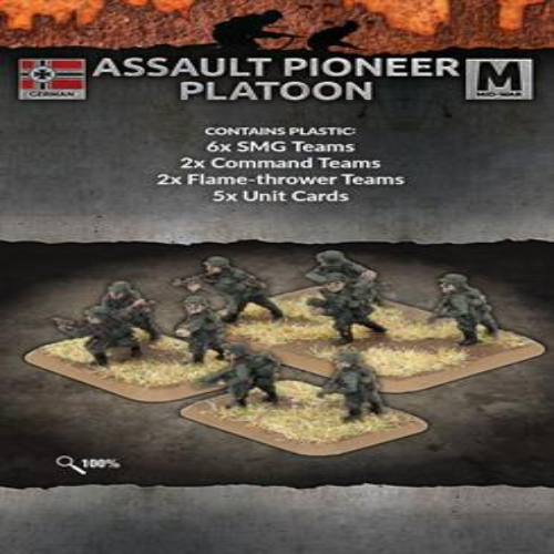 Assault Pioneer Platoon Eastern Front